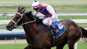 Love Laughing ridden by Mitchell Wood at Doomben. Picture: Peter Bull 