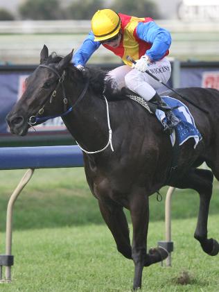 Back winning . . . Conleys Edition wins at Doomben. Source: The Courier-Mail
