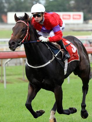 Border Rebel winning at Eagle Farm with Tim Bell up. Source: The Courier-Mail