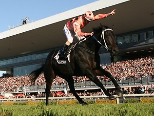 Black Caviar wins the BTC Cup at Doomben. Source: The Daily Telegraph 